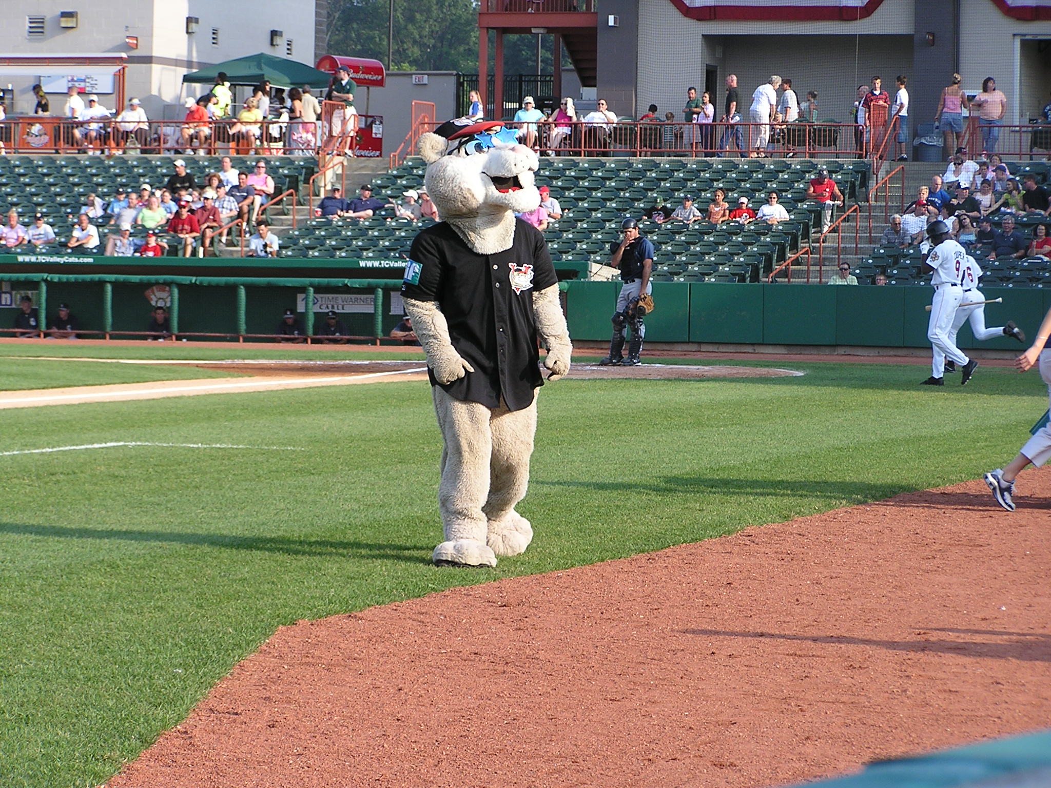 The Mascot, SouthPaw